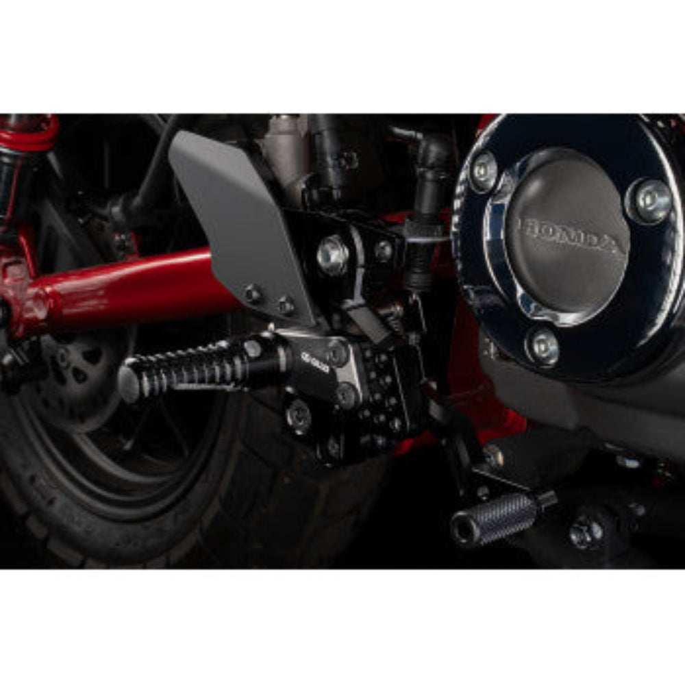 1623-0230AS31-S09-BAdjustableRearset2