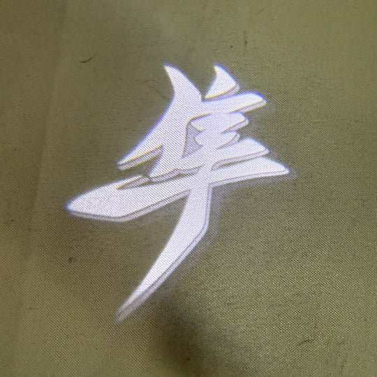 TOC Suzuki Hayabusa Kanji GEN 3 Logo Projection Light