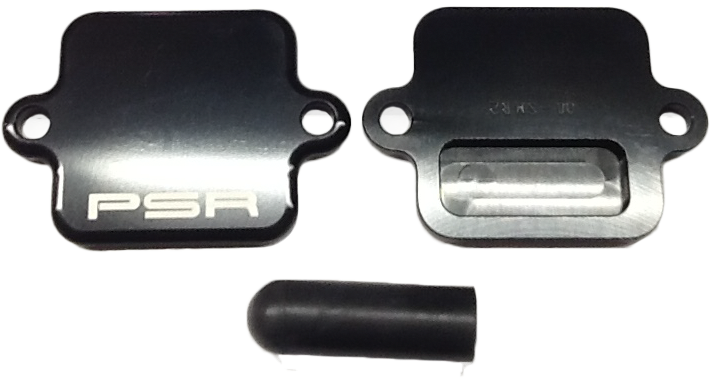 Air Injection Block-Off Plate -Pair Valve - Black - Kawasaki Models