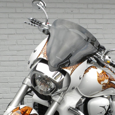 M109R Custom Painted Windscreen Dragon 