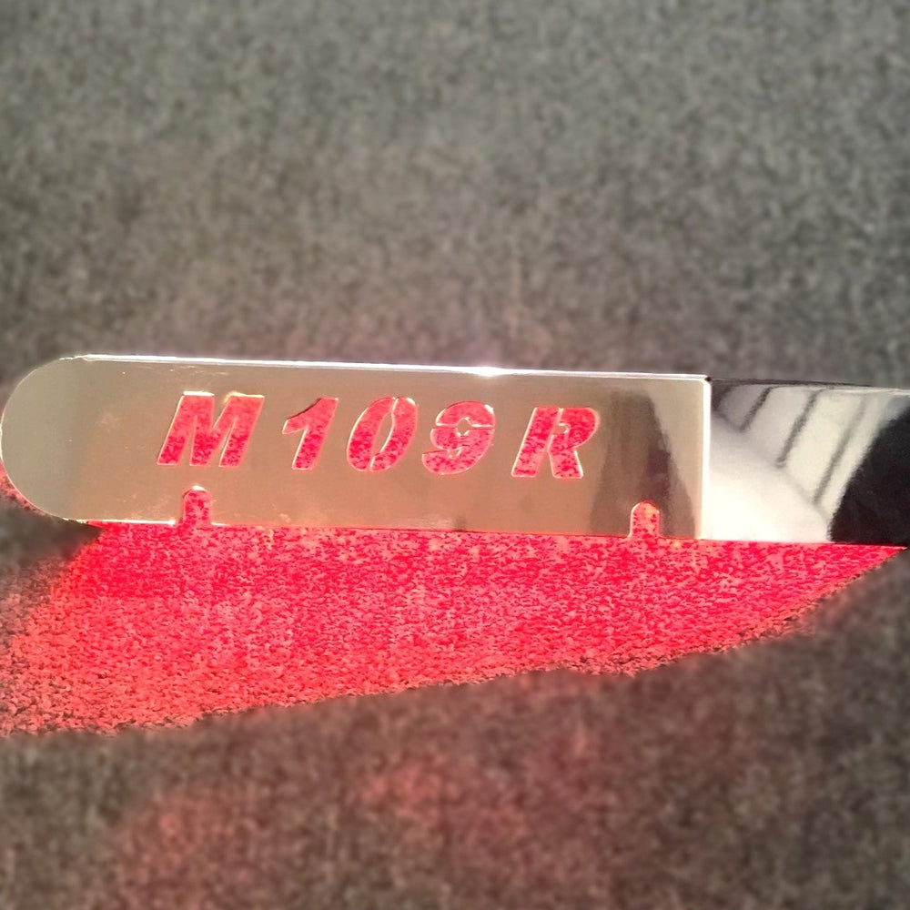 Chrome Swingarm Cover M109R with Led
