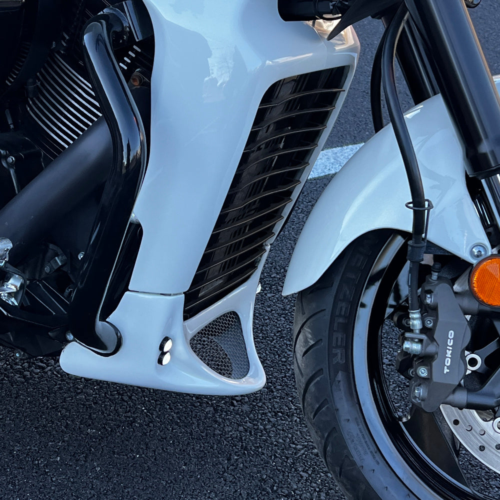 Suzuki M109R Engine Guard Black Installed