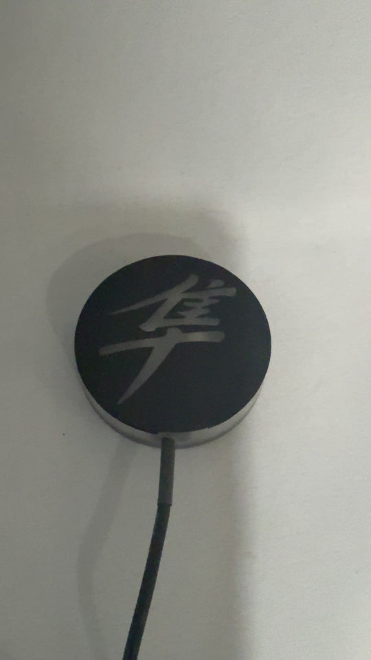 Tricked Out Customs LED Logo Badge