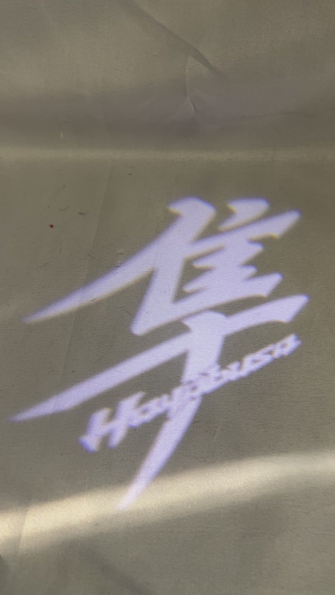 TOC Suzuki Hayabusa Kanji Logo Projection Light